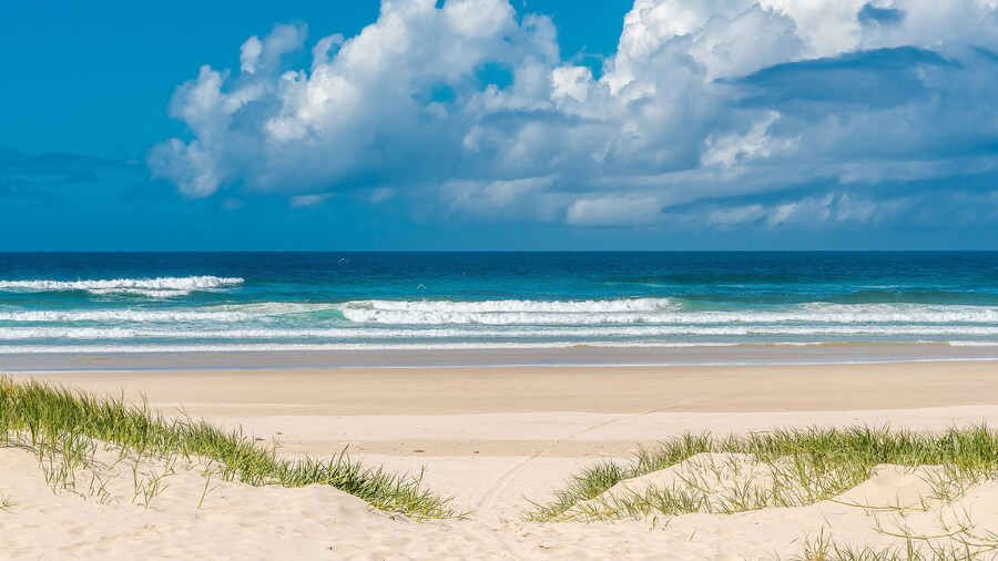 Ballina Beach Nature Resort