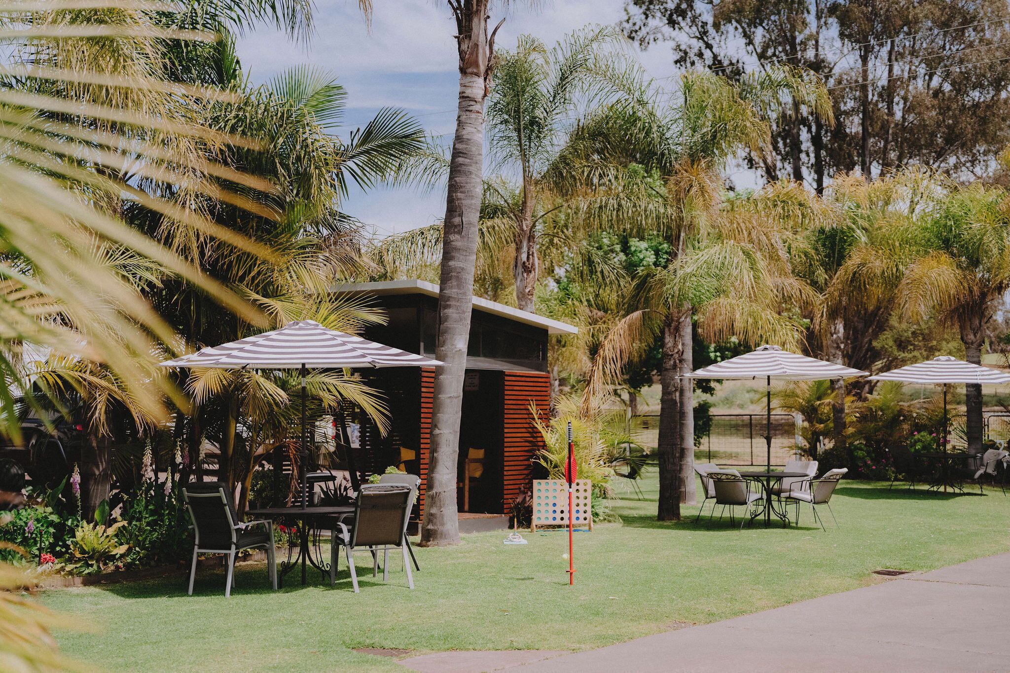 An outdoor seating area with tables and chairs, surrounded by palm trees and other greenery.