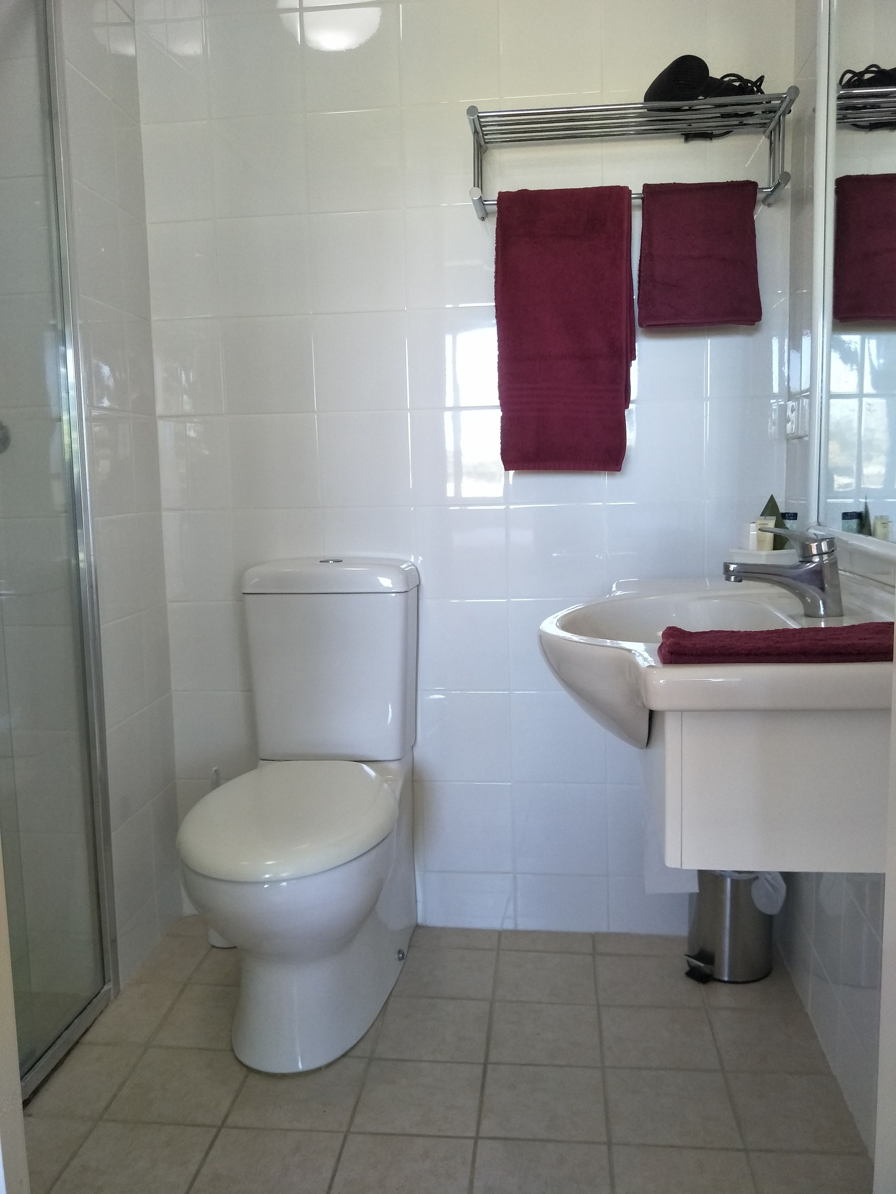 shower, free toiletries, hair dryer, towels