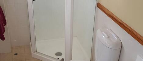 A bathroom with a toilet, a sink, and a glass-enclosed shower.