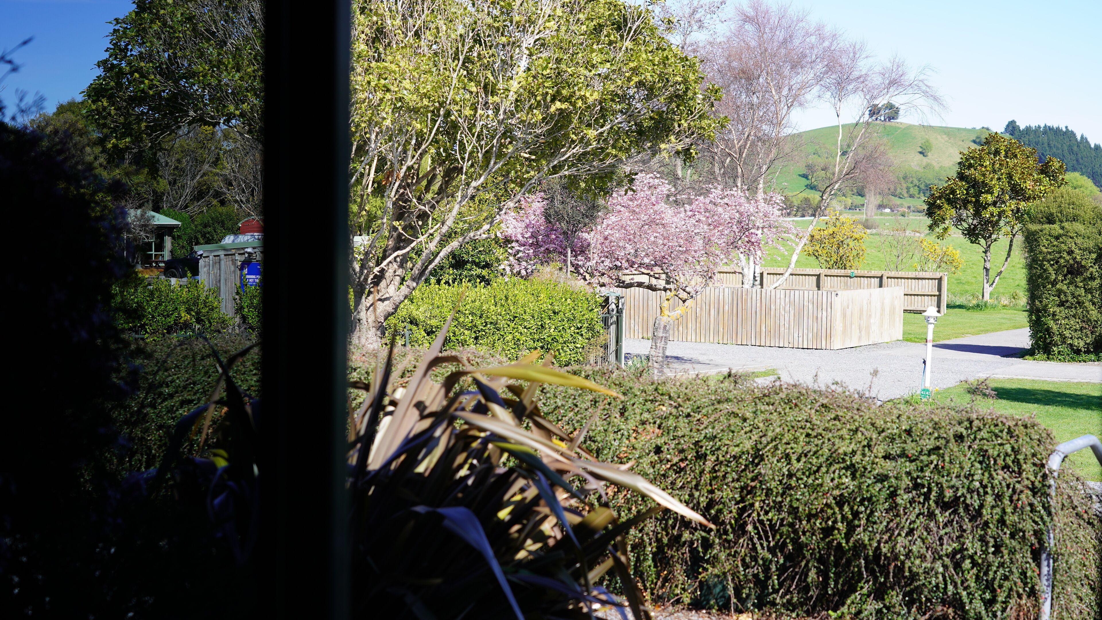 A residential garden with a wooden fence, a variety of flowering trees, and a clear view of a hilly landscape in the background.
