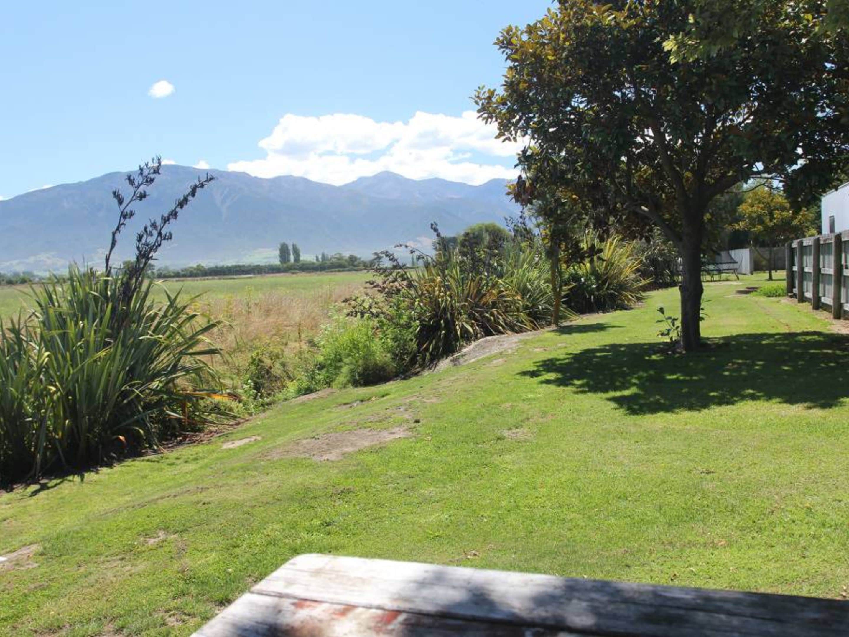 A grassy outdoor area with a picnic table, a tree, and mountains in the background.