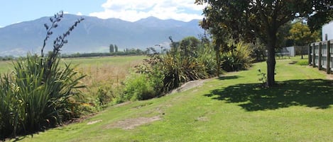 A grassy outdoor area with a picnic table, a tree, and mountains in the background.