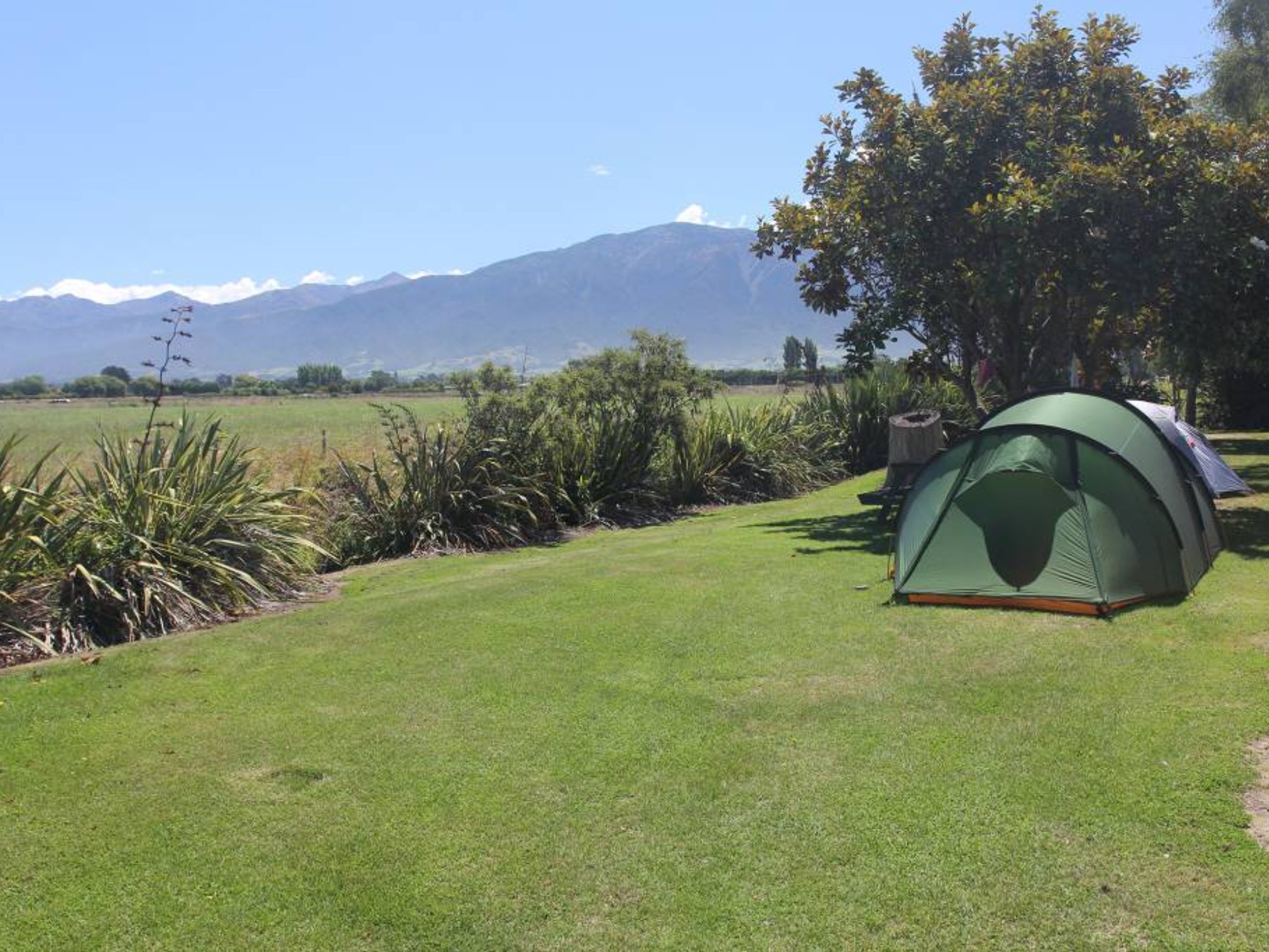 Ein grünes Zelt auf einer grünen Wiese, im Hintergrund ein Berg.