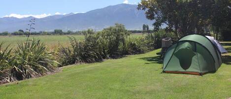 Ein grünes Zelt auf einer grünen Wiese, im Hintergrund ein Berg.