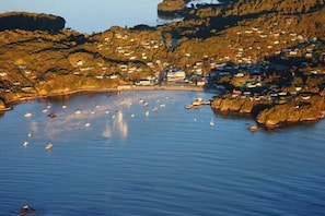 Eksteriør