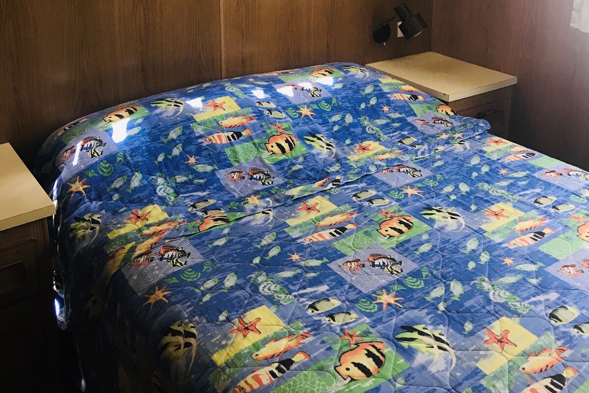 A bedroom with a bed covered in a blue quilt featuring marine life, a wooden headboard, and a window with a curtain.