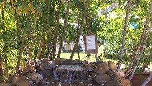 A small waterfall surrounded by rocks and greenery. - Lighthouse Beach Holiday Village (Port Macquarie)