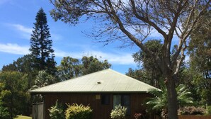 A house with a metal roof, surrounded by a well-maintained lawn and a brick pathway. - Lighthouse Beach Holiday Village (Port Macquarie)