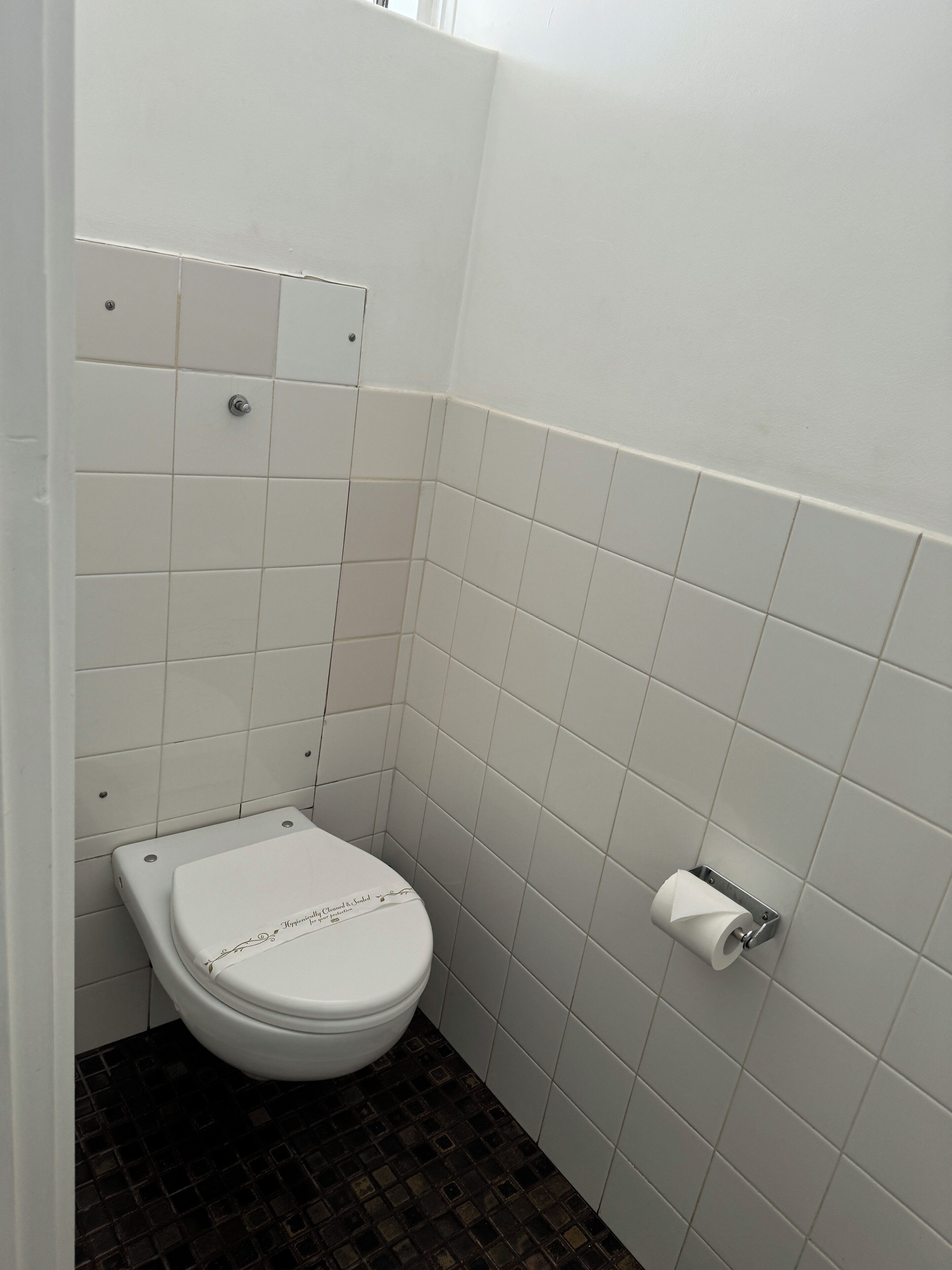 A small, white-tiled bathroom with a toilet, a toilet paper holder, and a dark-tiled floor.