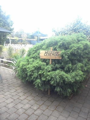 Outdoor wedding area