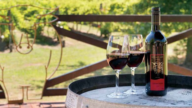 A bottle of wine and two glasses on a round table with a metal railing in the background.