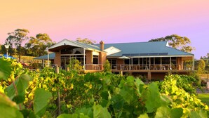 A building with a large glass facade, a covered outdoor seating area, and a vineyard in the foreground.