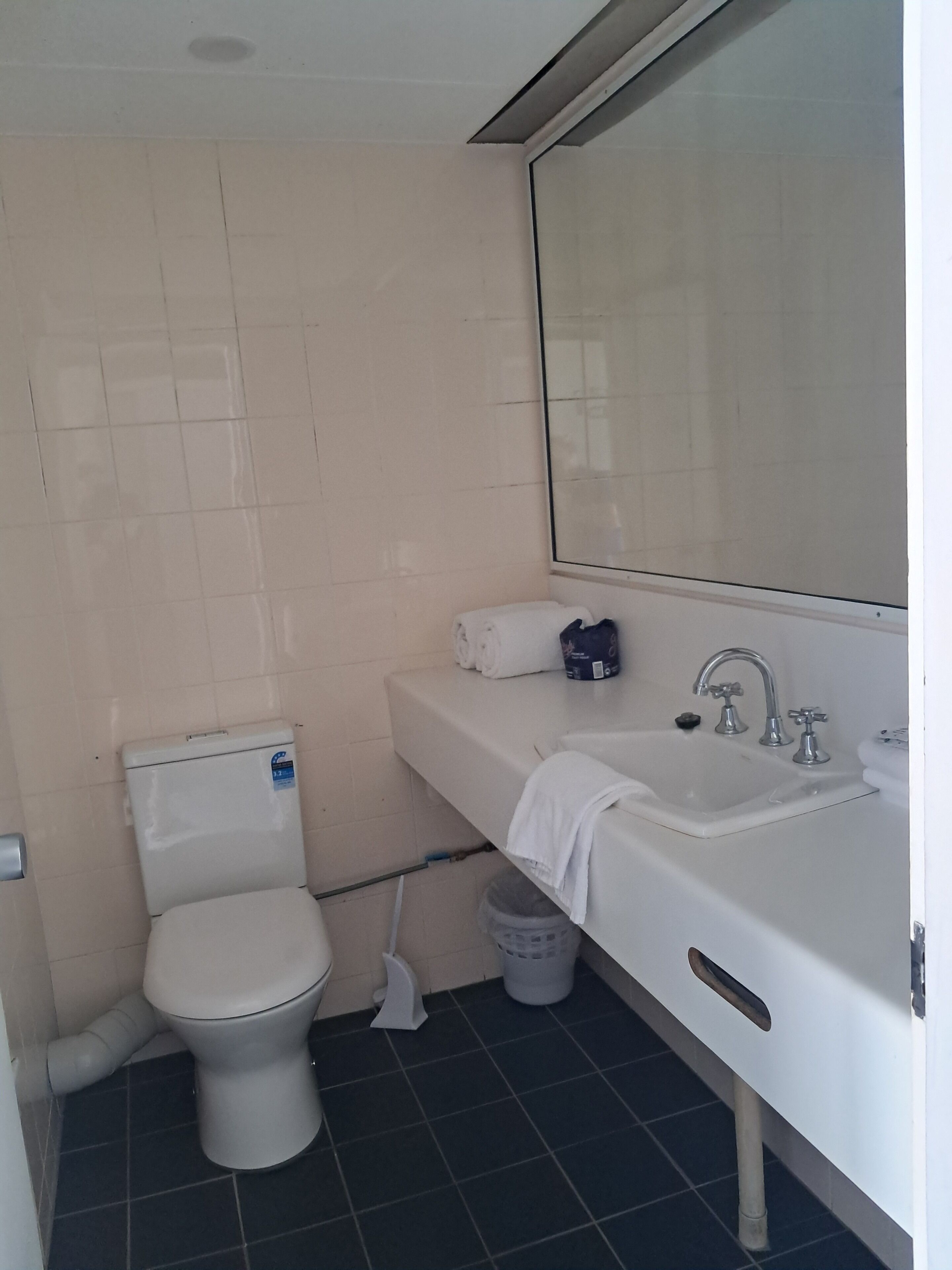 Een badkamer met toilet, wastafel en spiegel.