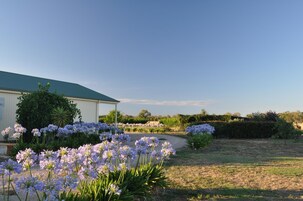 Área da propriedade