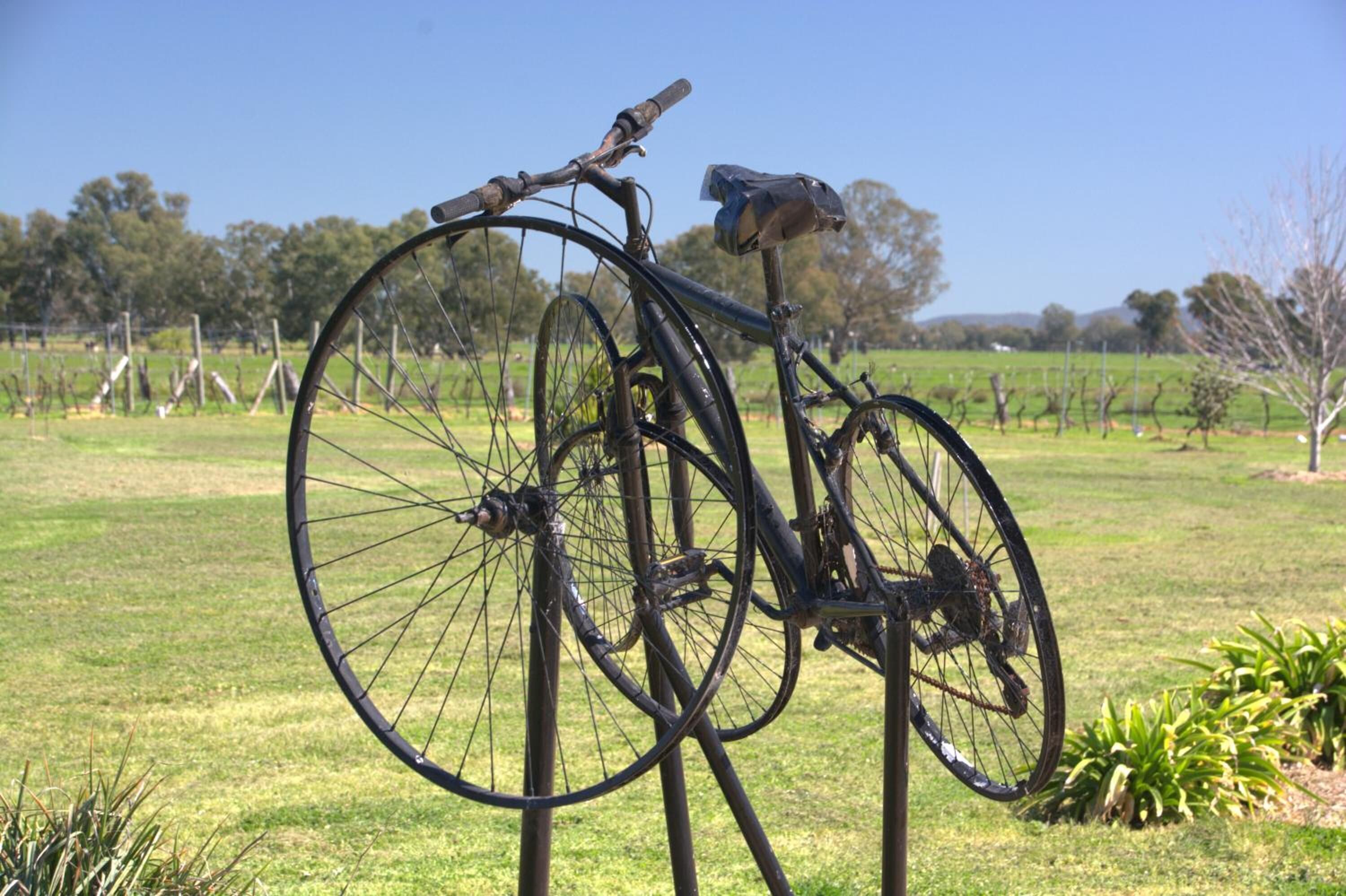 A bicycle leaning against a metal post in a grassy field with trees and a fence in the background.