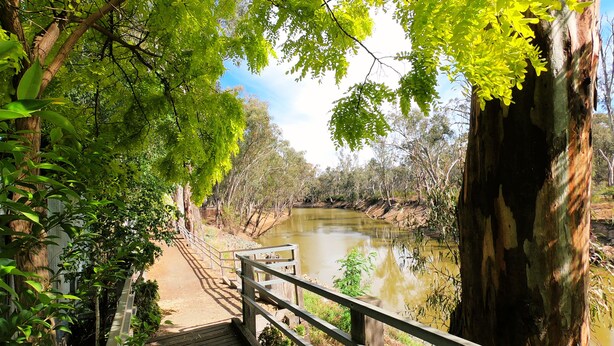 A wooden pathway leading to a body of water, surrounded by trees and a wooden railing. - CocknBull Boutique Hotel (Echuca)