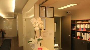 Un espace d’accueil comprenant un bureau, une orchidée blanche, des certificats encadrés accrochés au mur et un classeur avec des intercalaires.