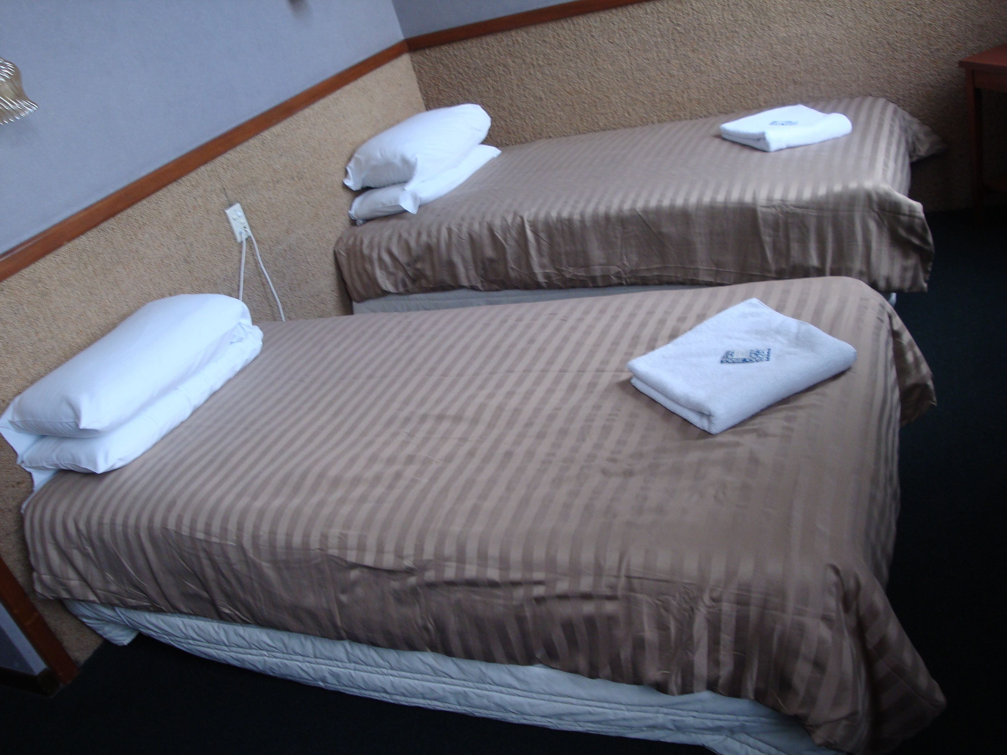 Two single beds with brown bedding and white pillows, a power outlet on the wall, and a wooden headboard.