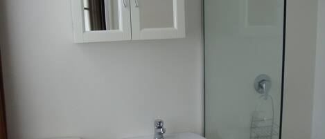 A bathroom with a toilet, sink, and glass shower enclosure.