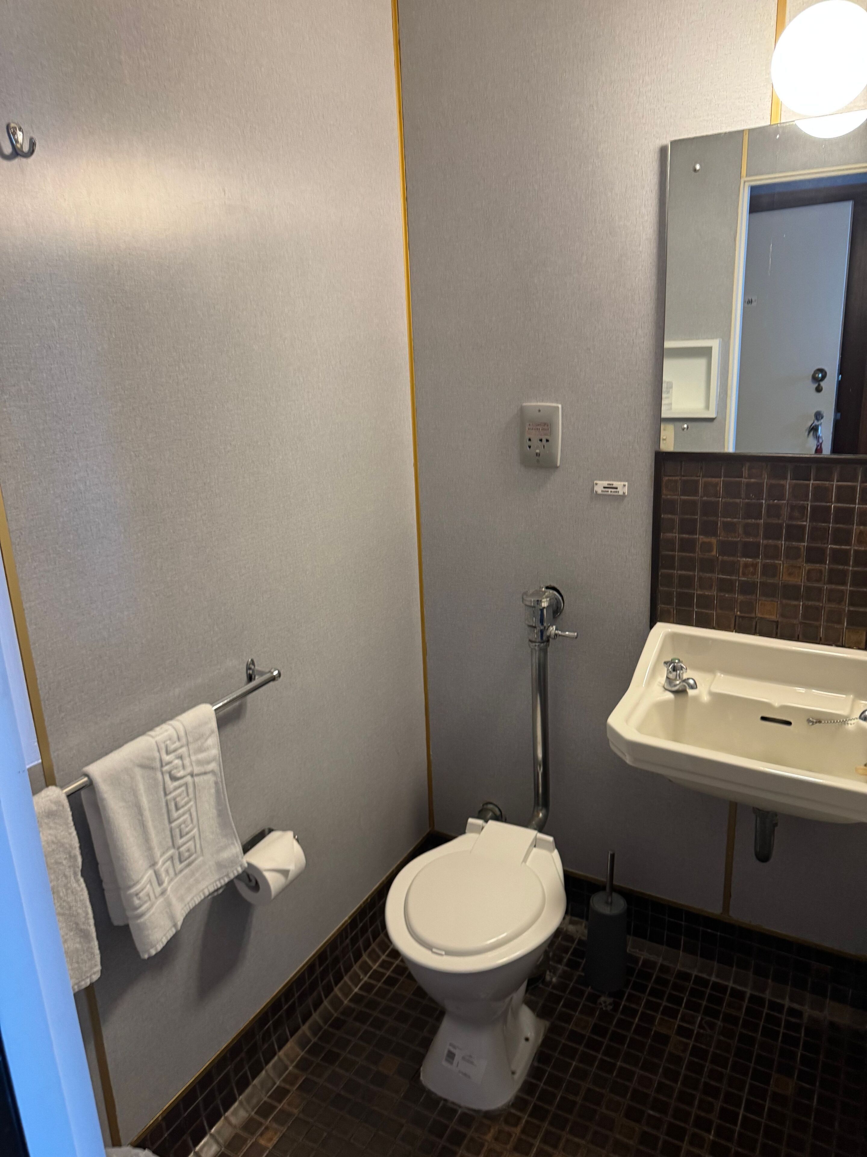 Een kleine badkamer met toilet, wastafel en handdoekhouder.
