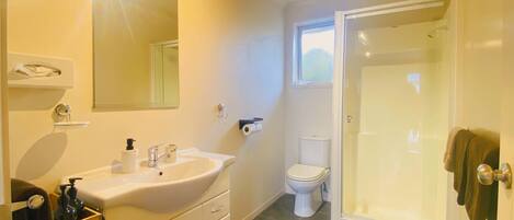 A bathroom with a sink, mirror, toilet, and shower.