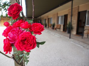 Blick von der Unterkunft