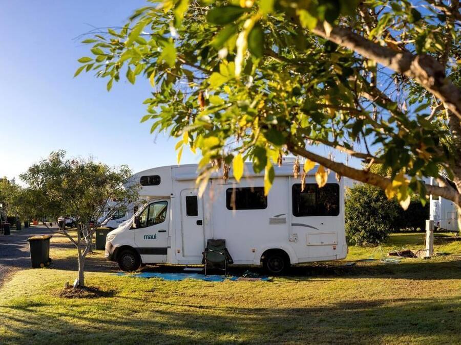 A white RV parked in a grassy area with a tree in the foreground.