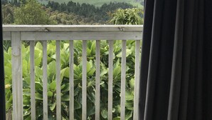 Ein Balkon mit Blick auf eine grüne Landschaft und ferne Berge.