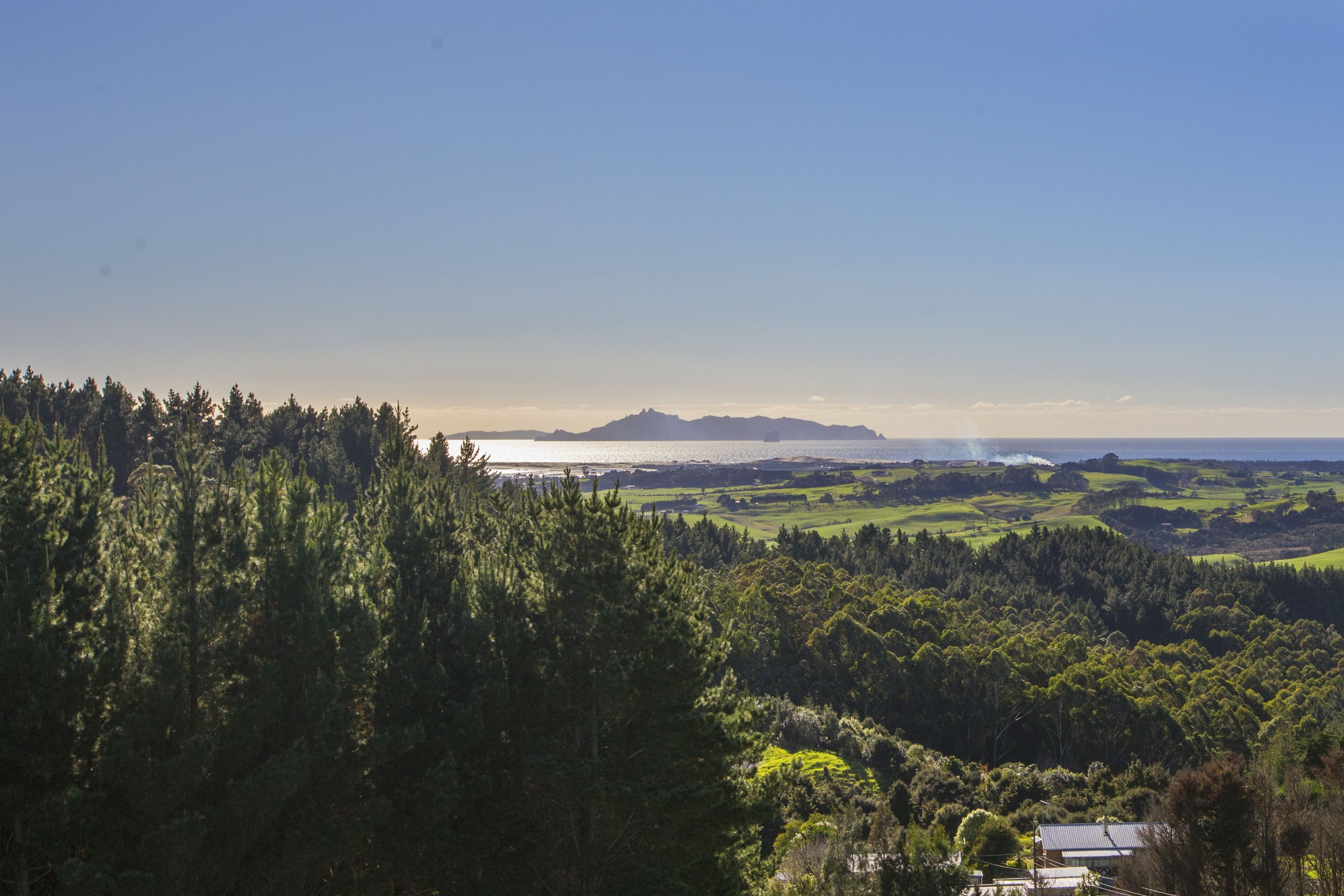 Ein weiter Panoramablick auf eine Küstenlandschaft mit dichten Wäldern, einer fernen Bergkette und einem Gewässer.