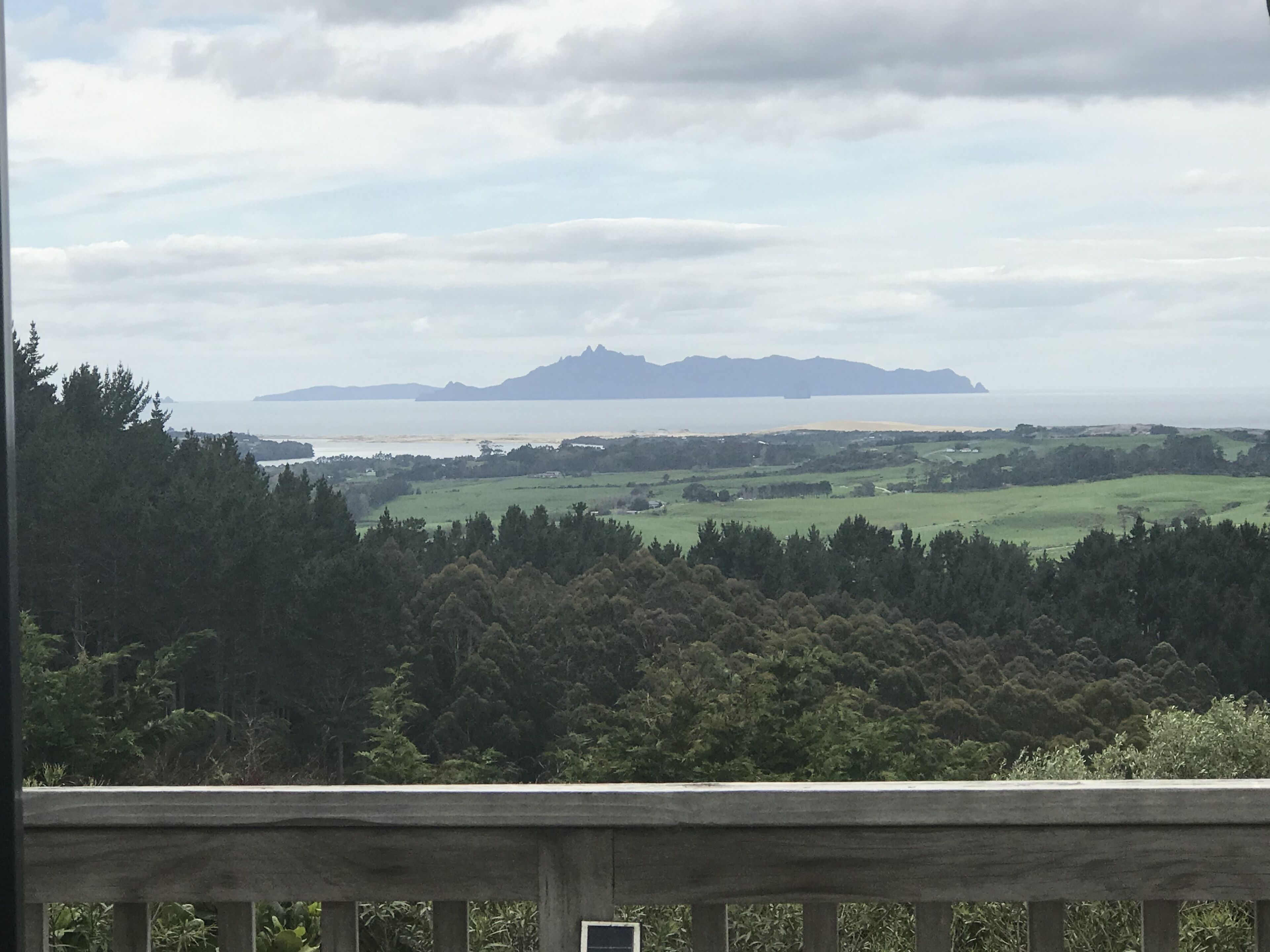 A coastal landscape with a mountain in the distance, surrounded by dense forests and a body of water.