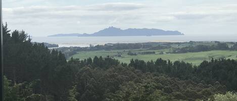 A coastal landscape with a mountain in the distance, surrounded by dense forests and a body of water.