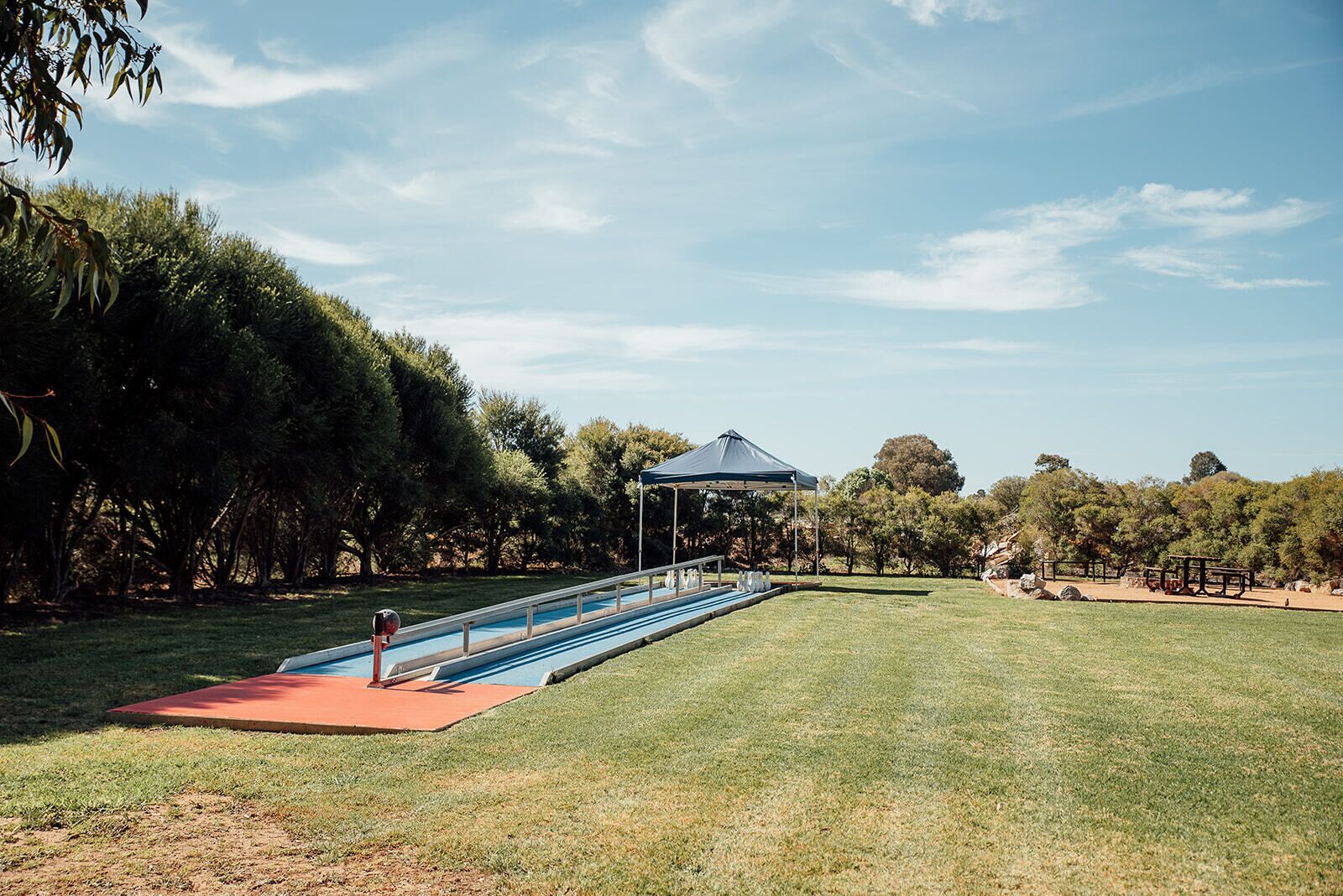 A pool table with a blue felt surface, surrounded by a grassy area with trees and a pavilion.