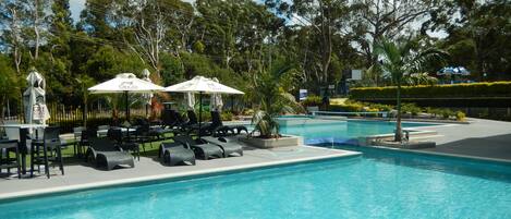 A swimming pool with lounge chairs and umbrellas, surrounded by trees and a fence.