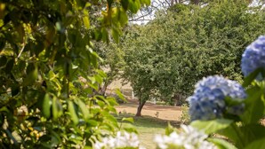 A garden with trees and flowering plants. - Karribank (Porongurup)