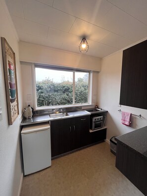 Standardsuite - 2 soveværelser - ikke-ryger - køkken (Apartment) | Privat køkken | Køleskab, mikrobølgeovn, kogeplade, kaffe-/temaskine