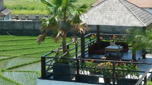 Property grounds - Echoland Bed & Breakfast (Canggu)
