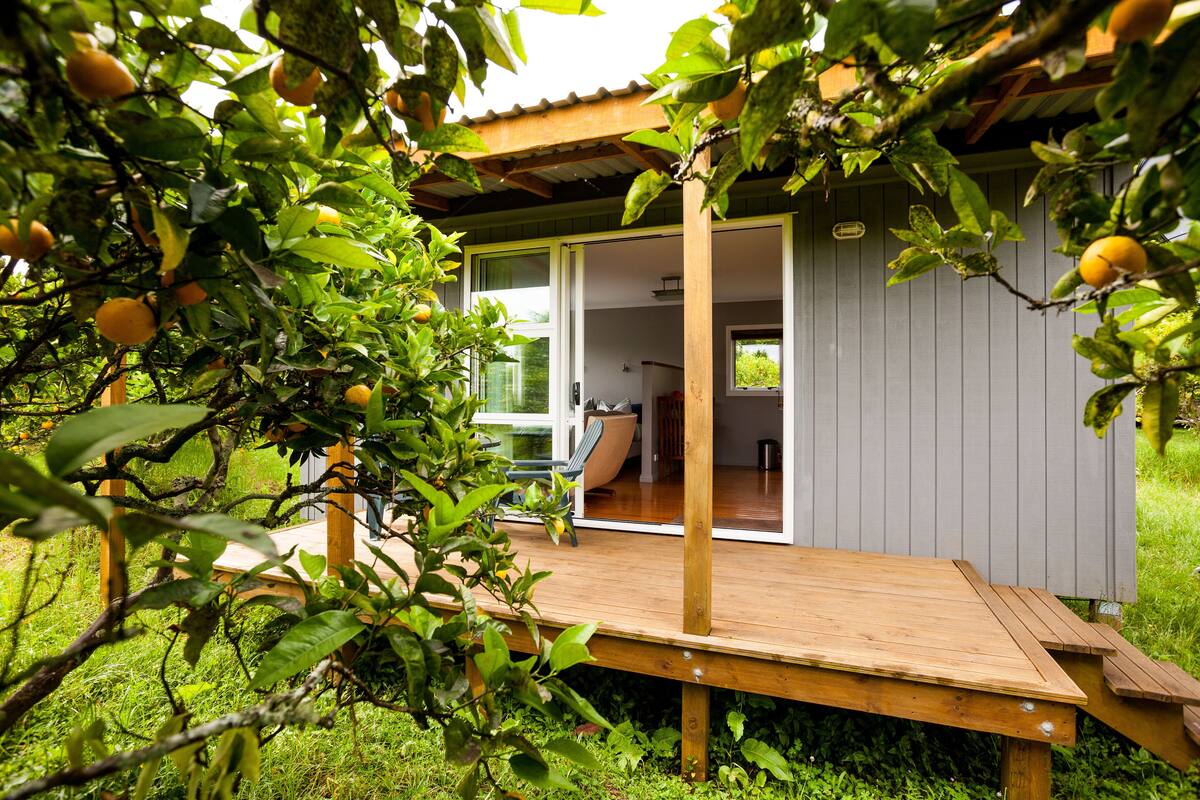 A wooden deck with a view of a modern house, a glass door leading to a room, and a garden with fruit trees.