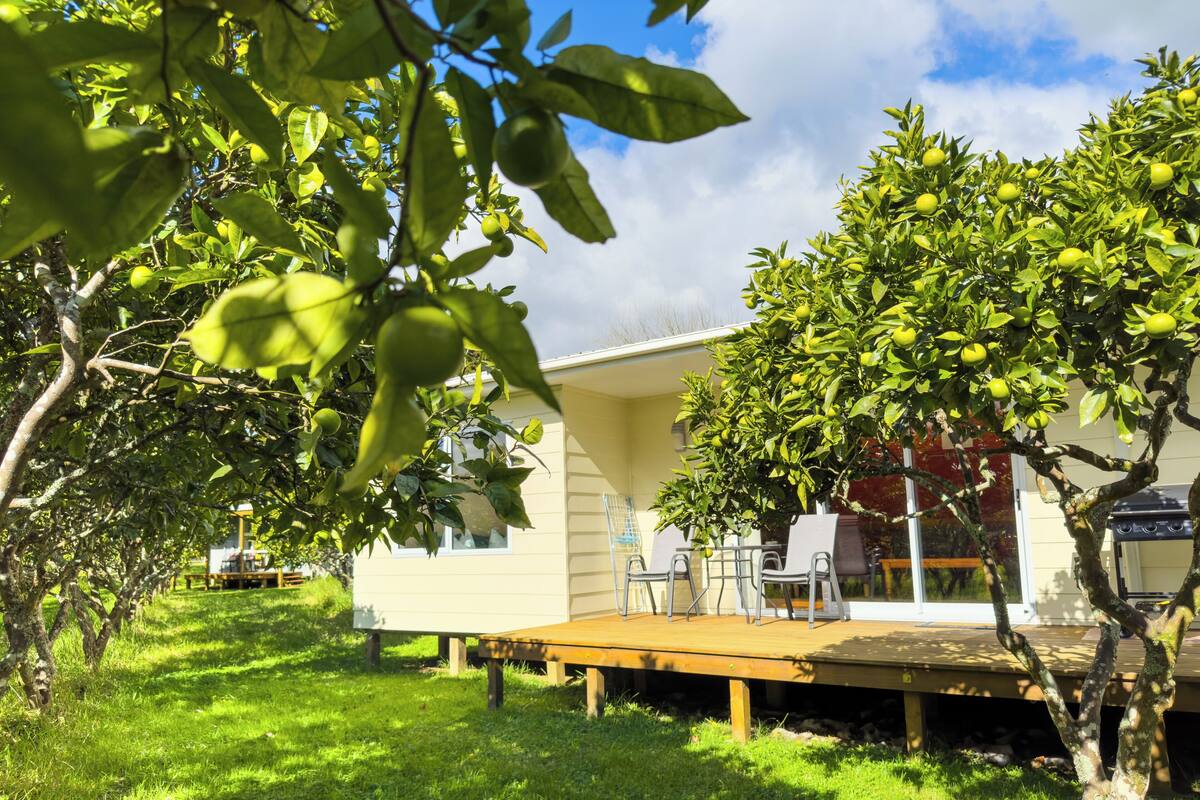 Standard Suite, 2 Bedrooms, Non Smoking, Kitchen (MoonShine Cottage) | Terrace/patio