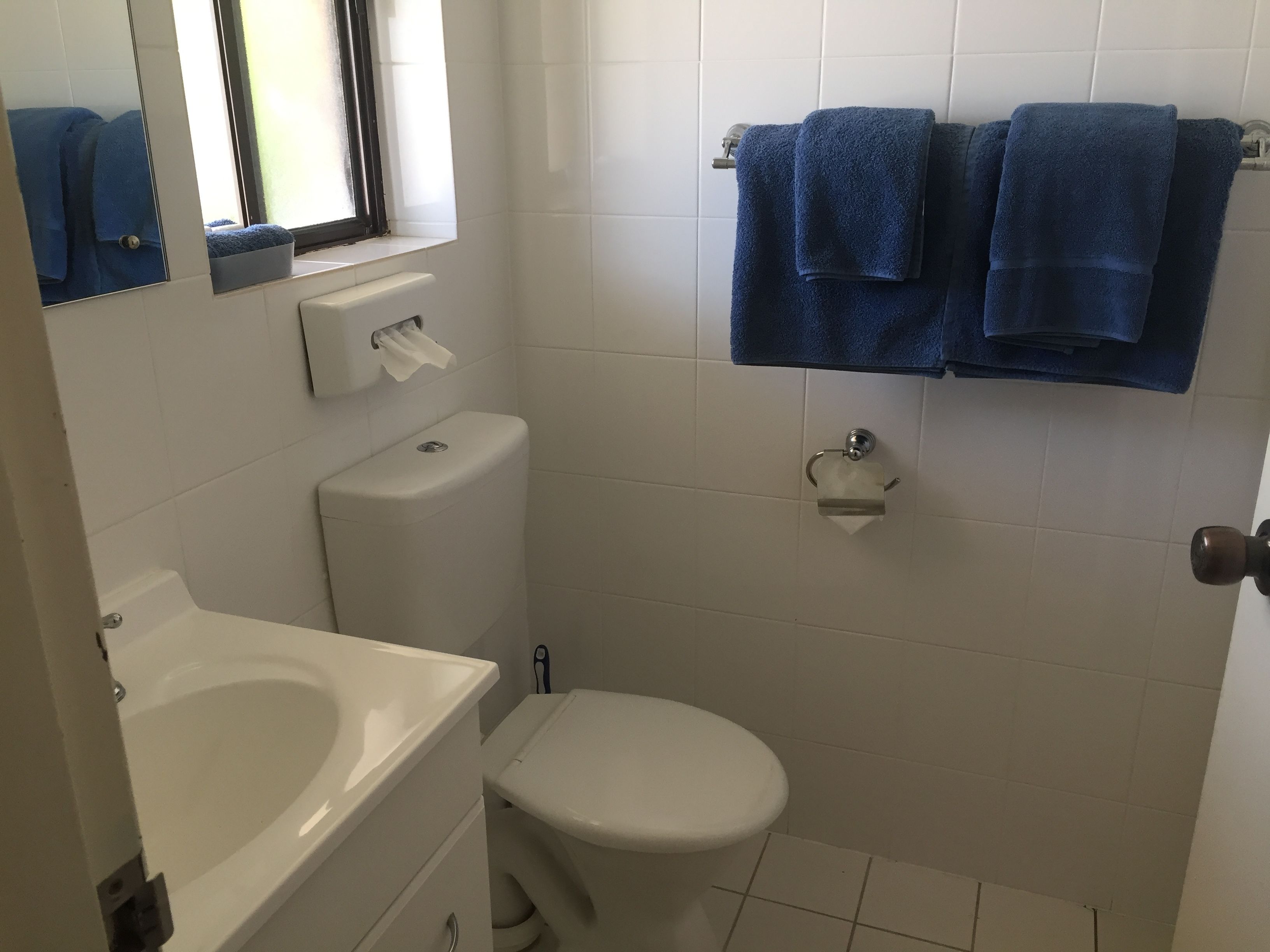 Un baño con inodoro, lavamanos y toallero.