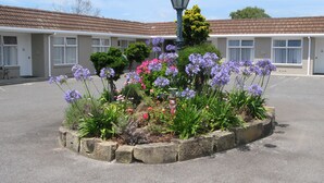 Un patio con un parterre floral, un farol y un edificio con múltiples ventanas.