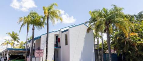 A white building with a blue roof, a sign indicating it is an accommodation check-in point, and several palm trees around it.