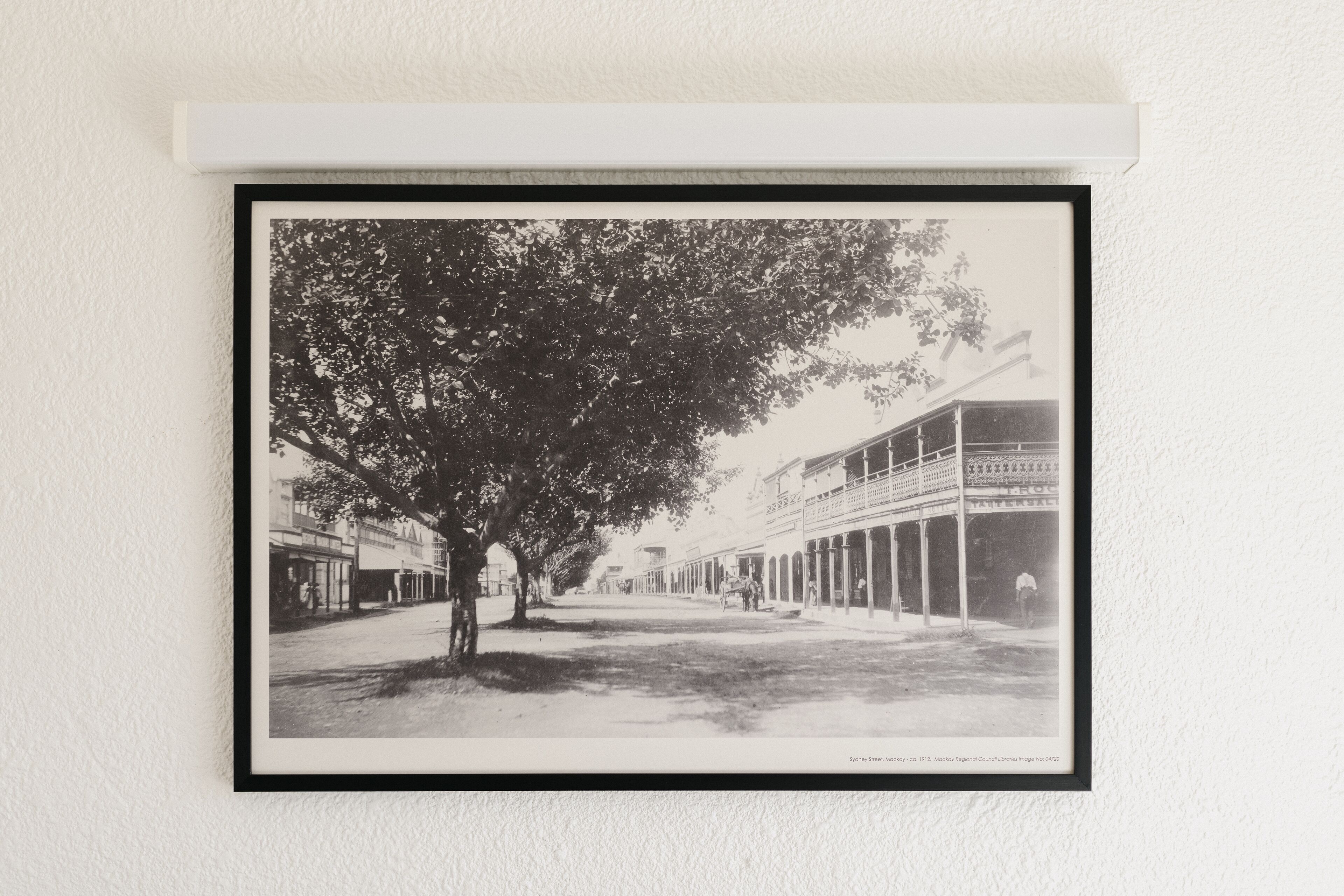Une photographie en noir et blanc représentant une scène de rue, avec un grand arbre au premier plan, des bâtiments de chaque côté et une personne qui marche au loin.