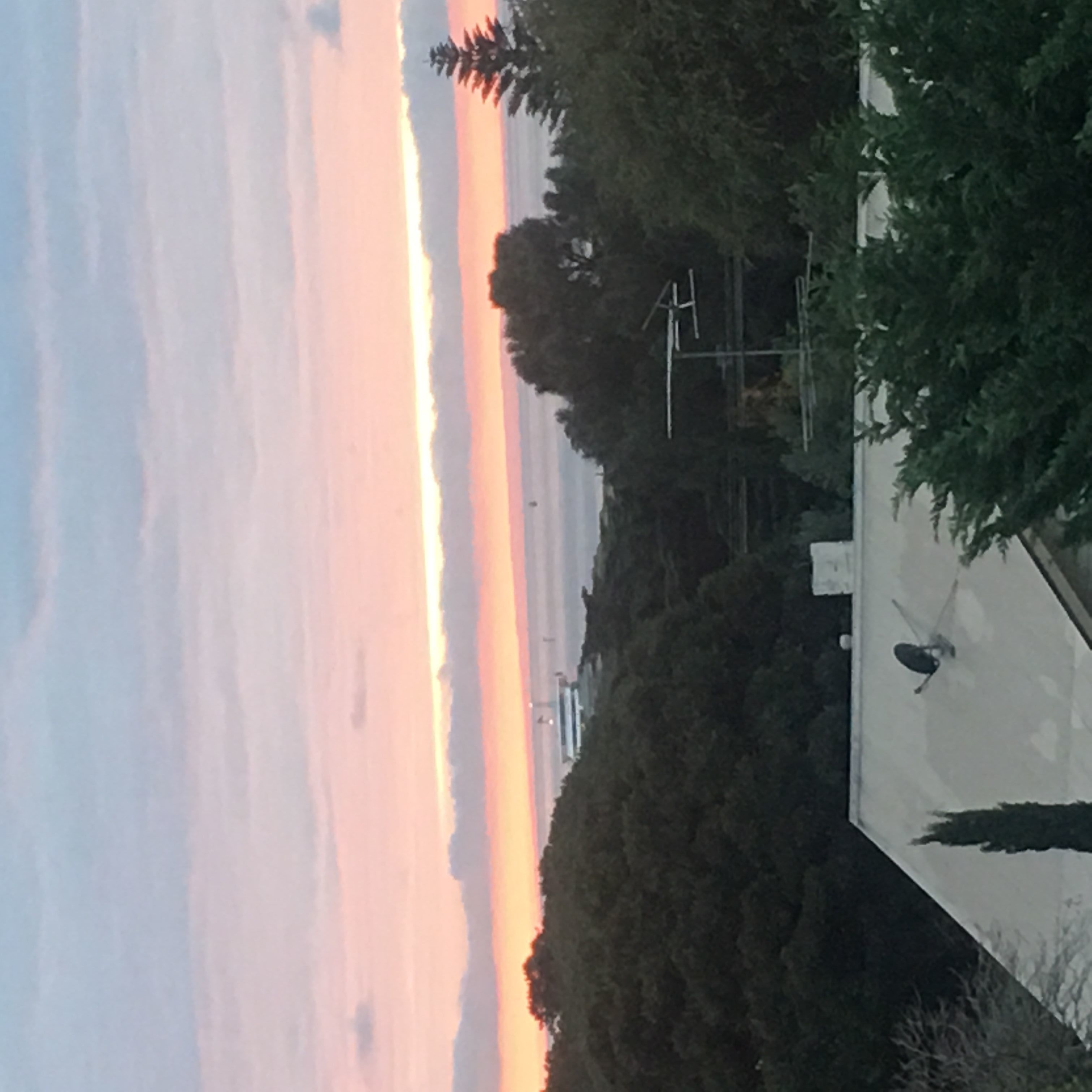 Un tramonto su un corpo d'acqua, sullo sfondo alberi e un edificio in primo piano.