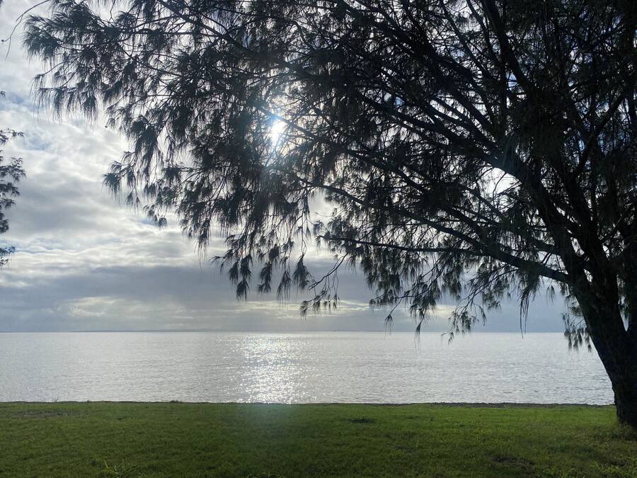 A serene lakeside view with a large tree in the foreground and a clear sky.