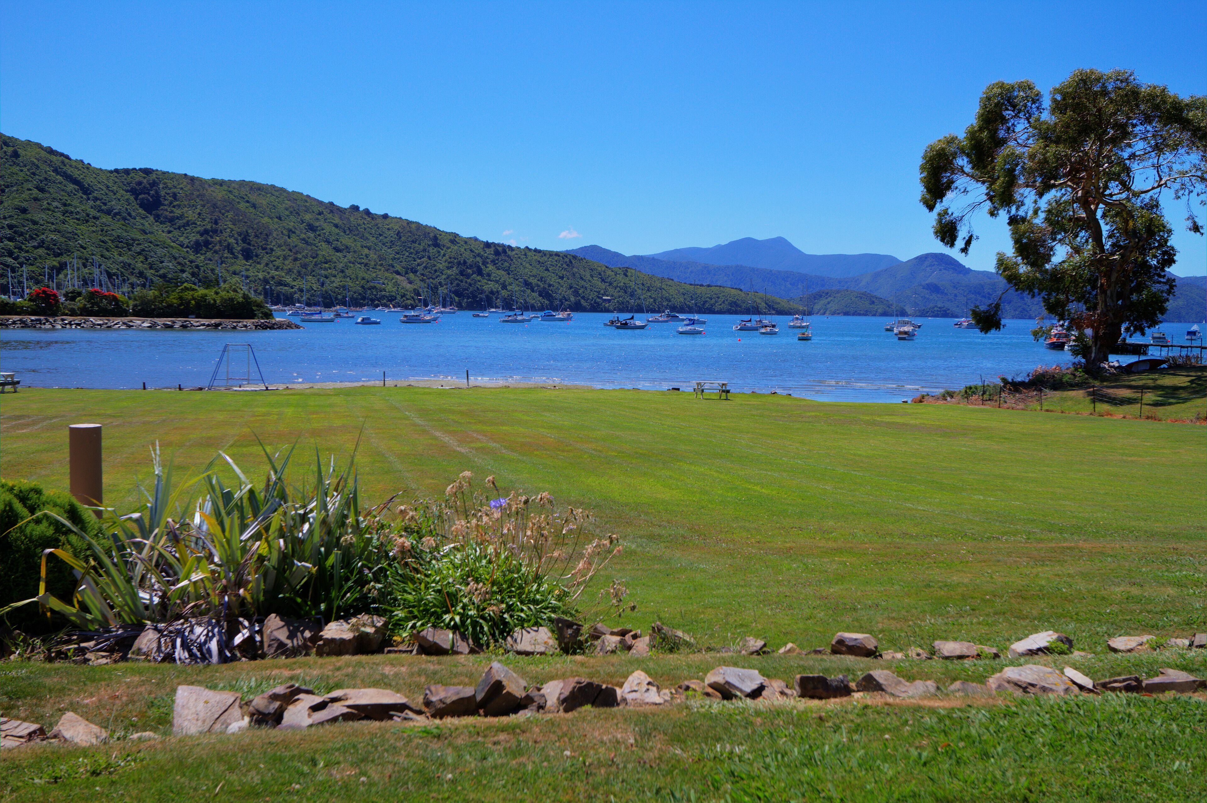 Uma área gramada com vista para um lago e barcos.