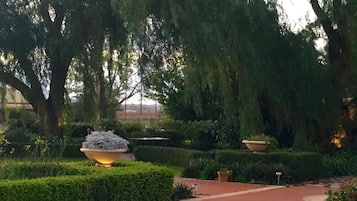 A garden with a gravel path, neatly trimmed hedges, and large planters.