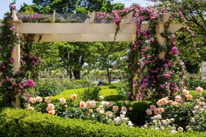 Garden - Barossa House (Tanunda)