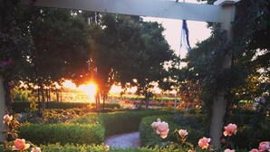 A garden with roses and a pergola structure. - Barossa House (Tanunda)