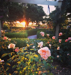 Suite Standard, 1 chambre, non-fumeur (Garden View) | Vue de la chambre